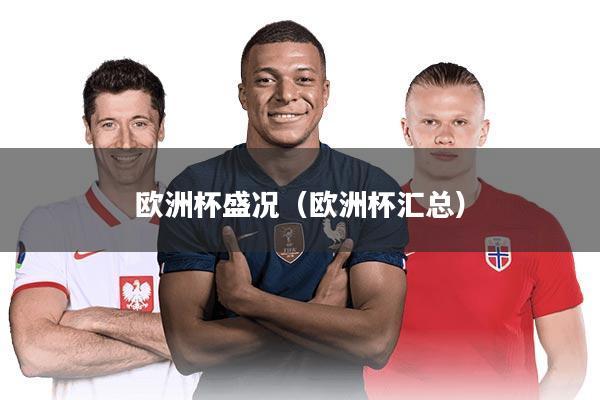 欧洲杯盛况（欧洲杯汇总）