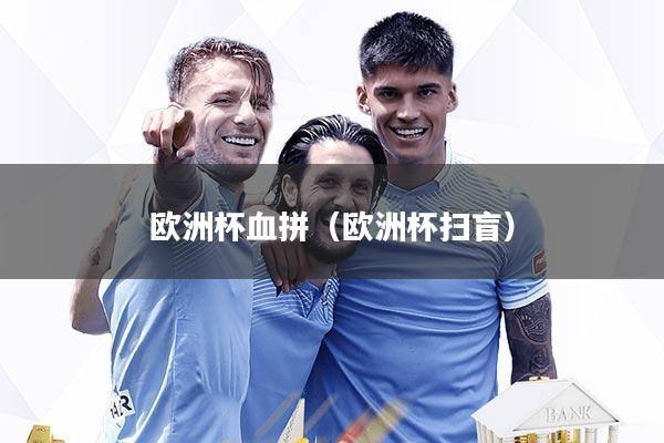 欧洲杯血拼（欧洲杯扫盲）